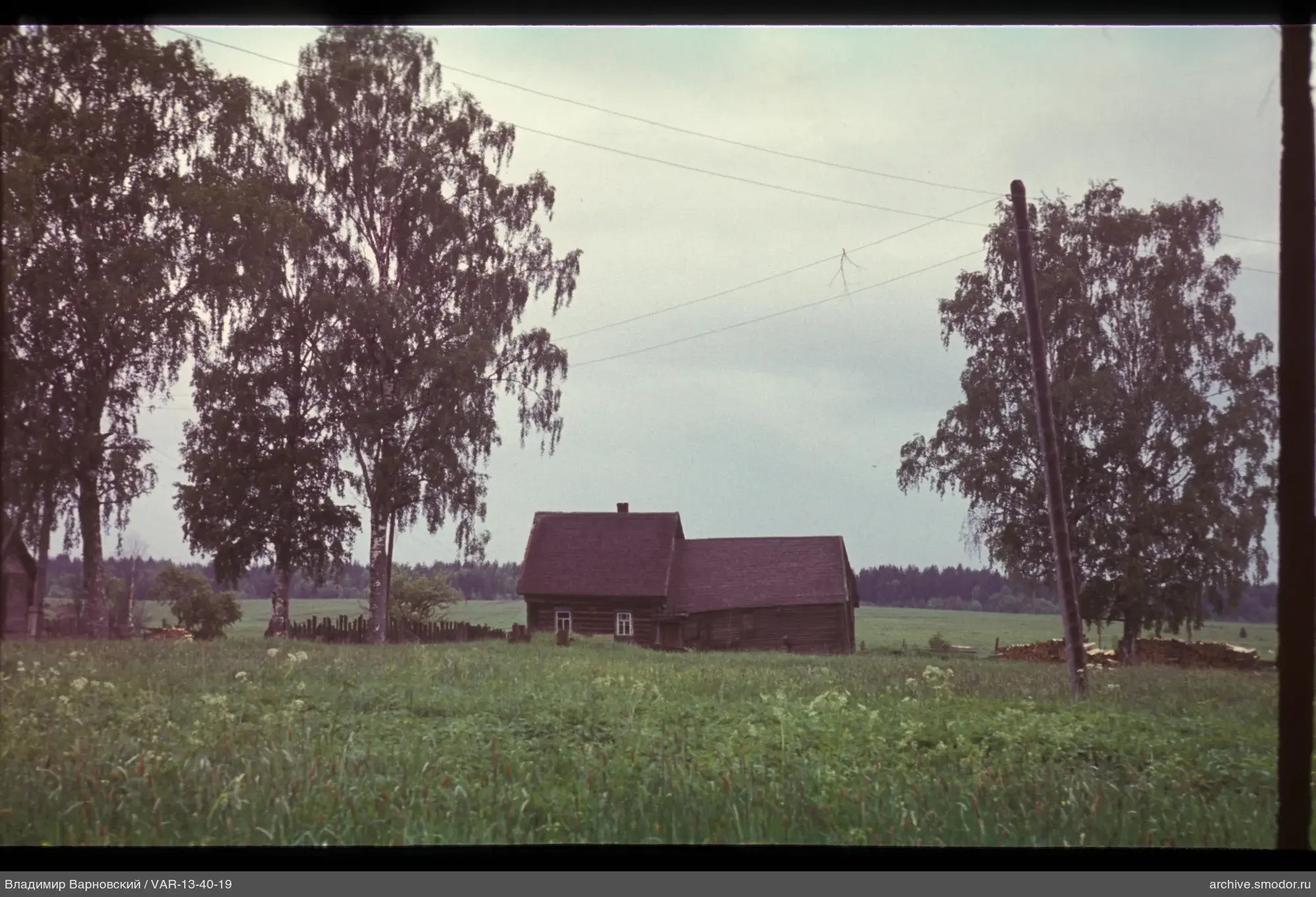 Holzhaus mit Birken und Drähten
