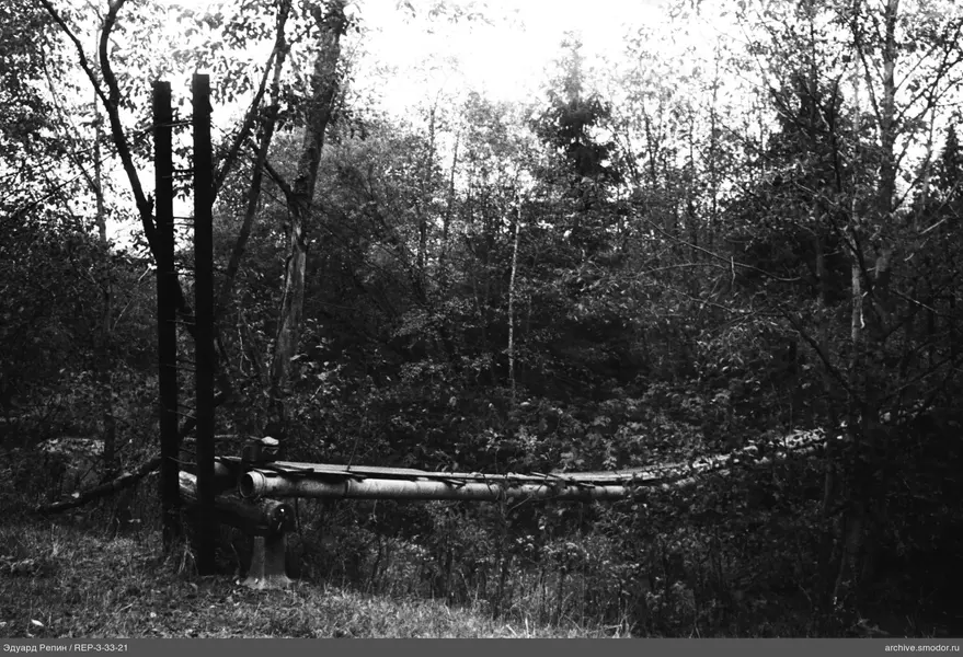 Metallrohr im Wald