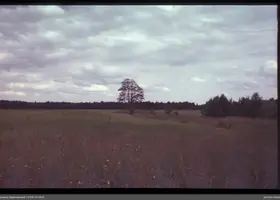 VAR-13-49-5