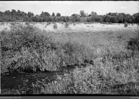 VAR-2-18-5