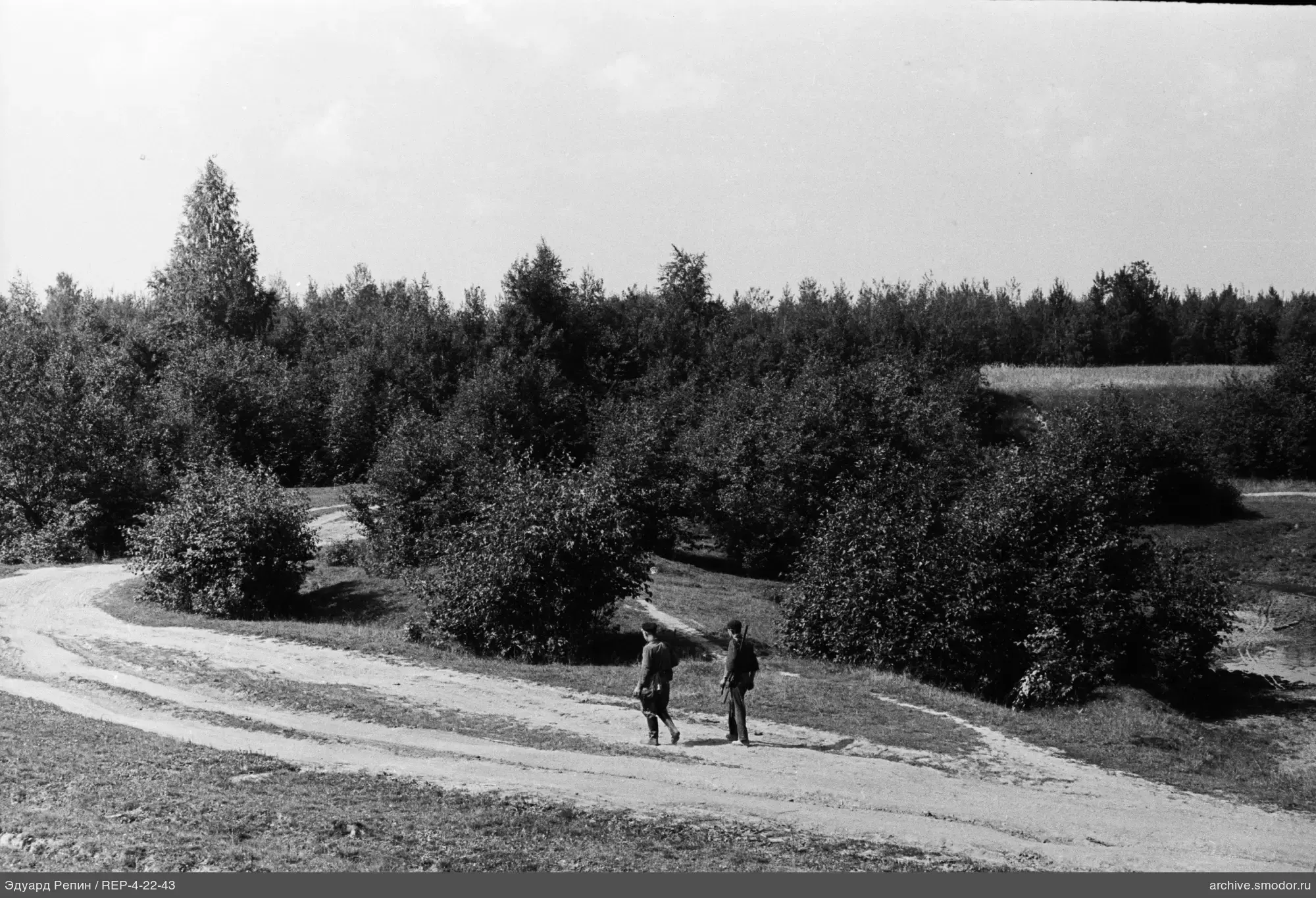 Straße mit Männern und Waldlandschaft