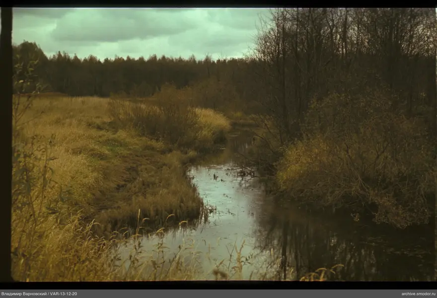 Winding stream with reflections of trees
