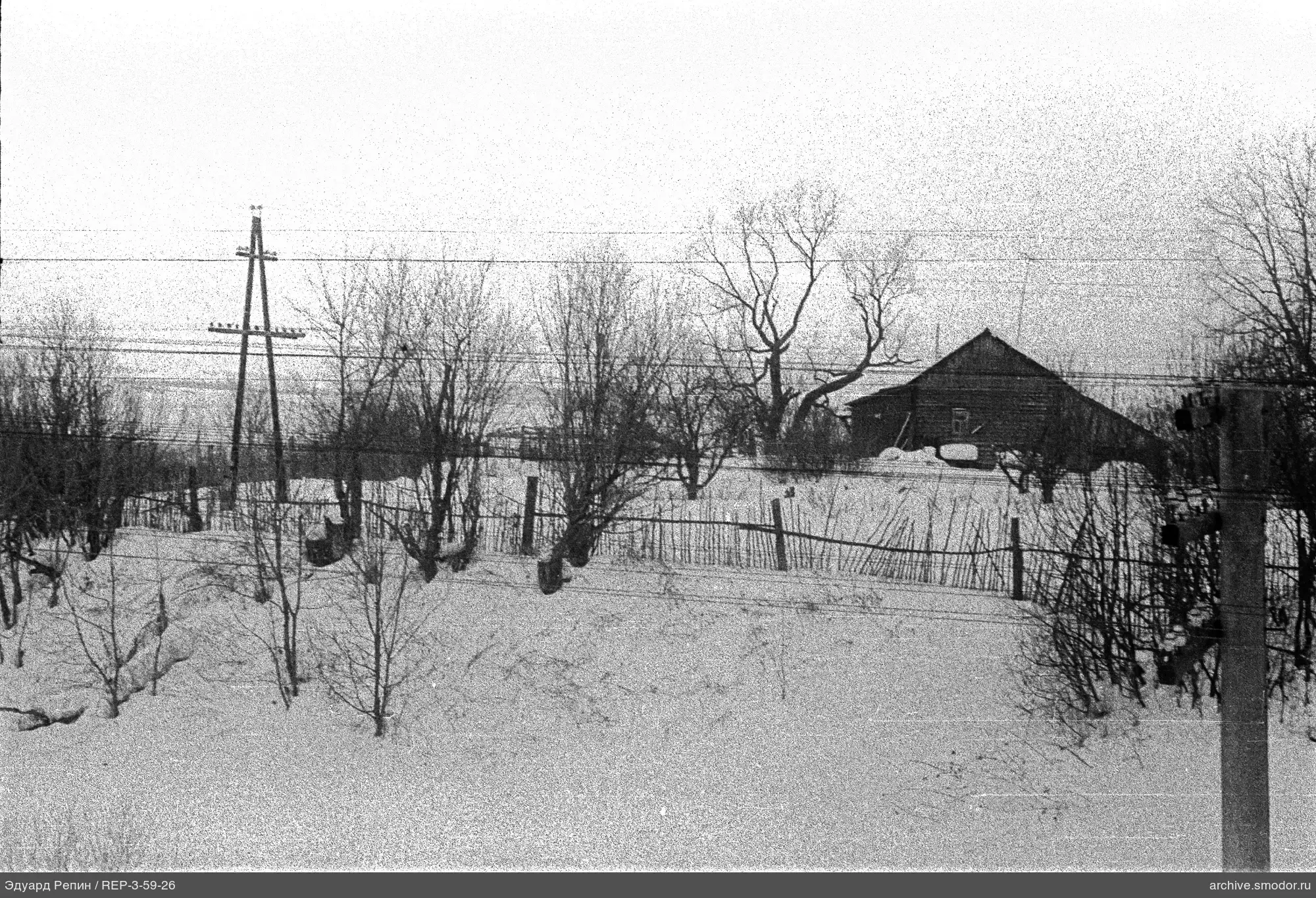 Wooden house with leafless trees behind