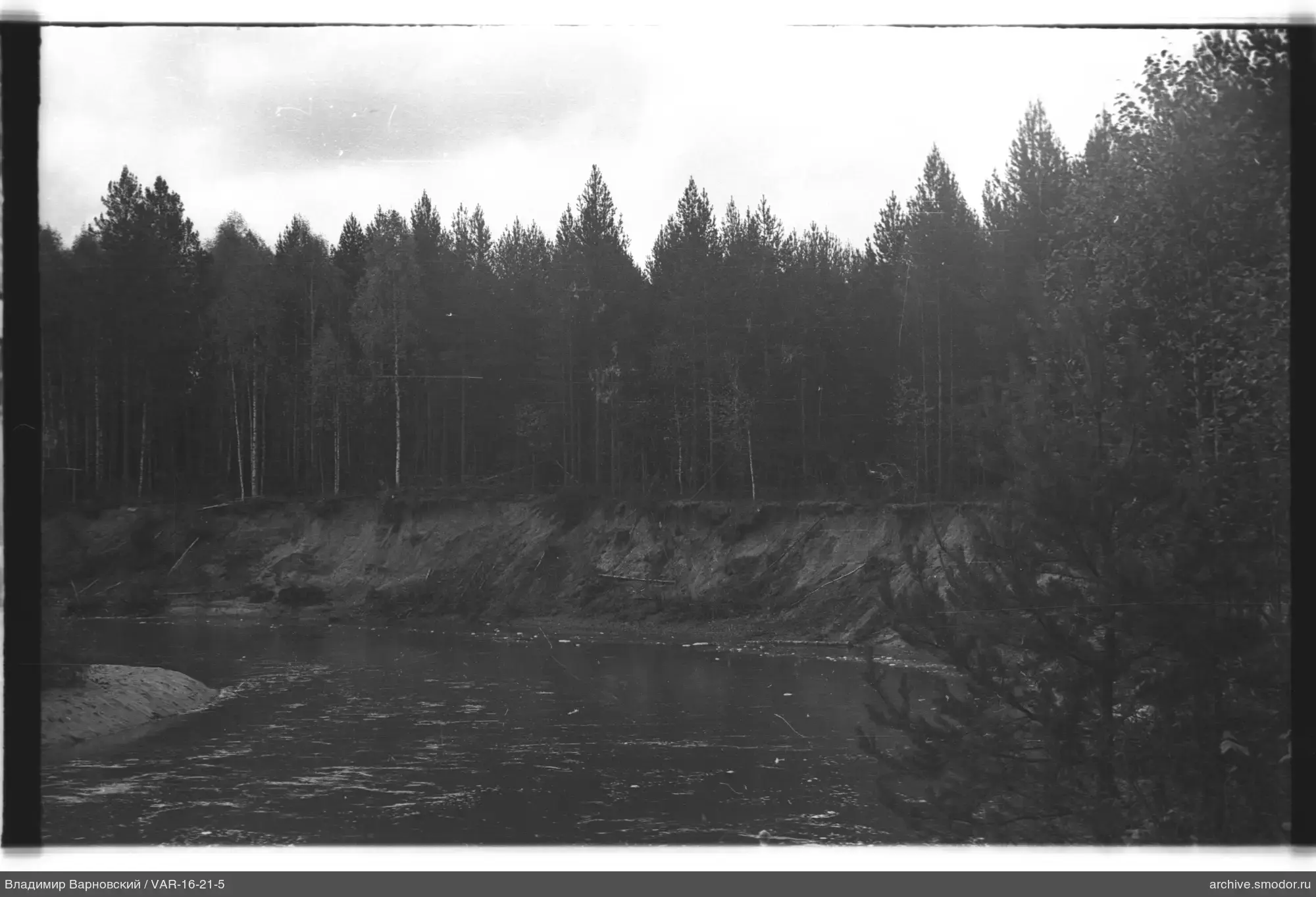 Fluss mit Ufer und Wald im Hintergrund