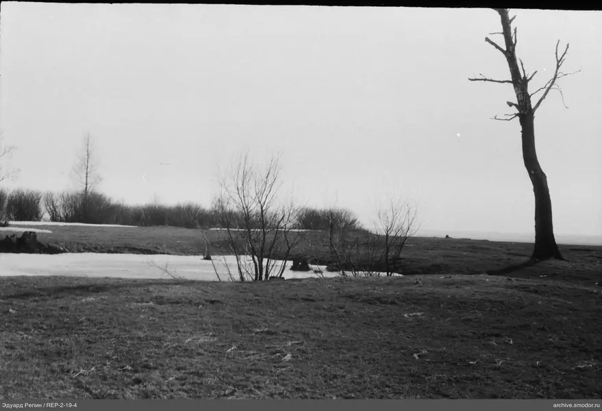 Landschaft mit einsamem Baum und Schnee
