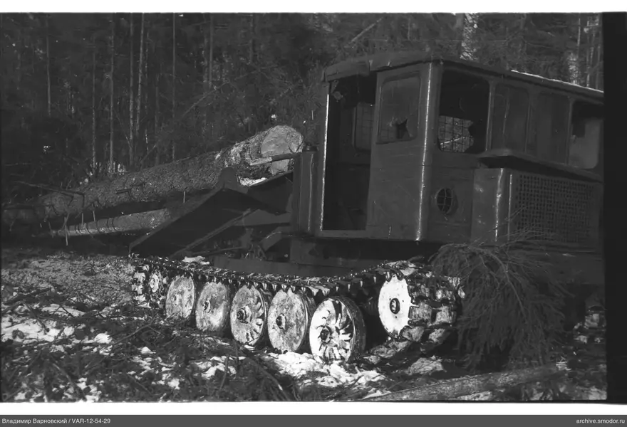 Tracked tractor with felled tree in forest