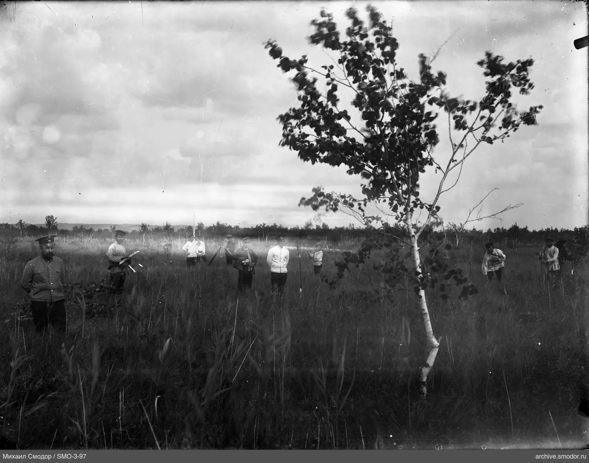 Gruppe von Männern im Feld mit Birke