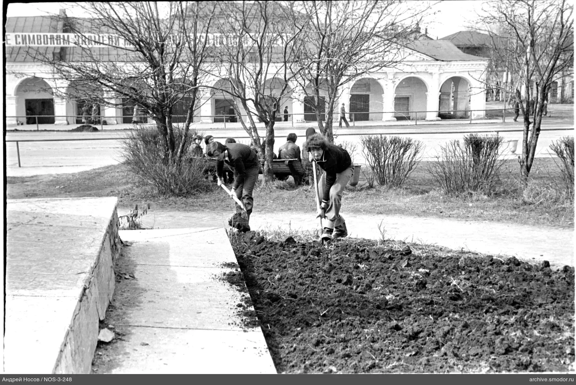 Zwei Männer graben in einem Blumenbeet