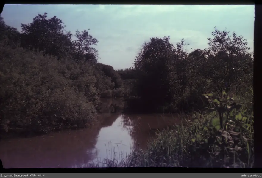 River with tree reflections