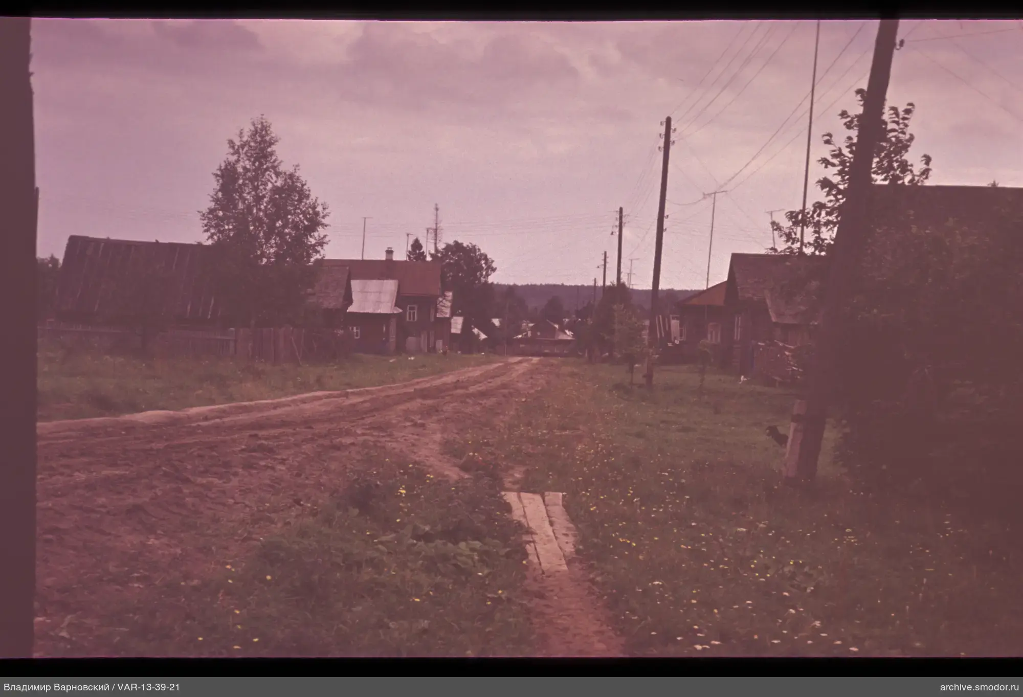Dorfstraße mit Stromleitungen und Wald