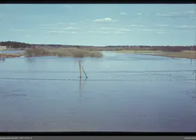 VAR-13-50-13