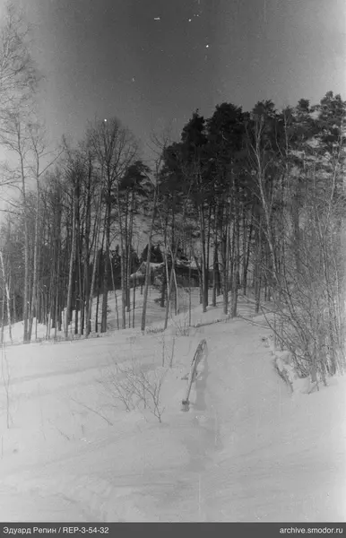 Schneebedeckter Hang mit Brücke und Bäumen