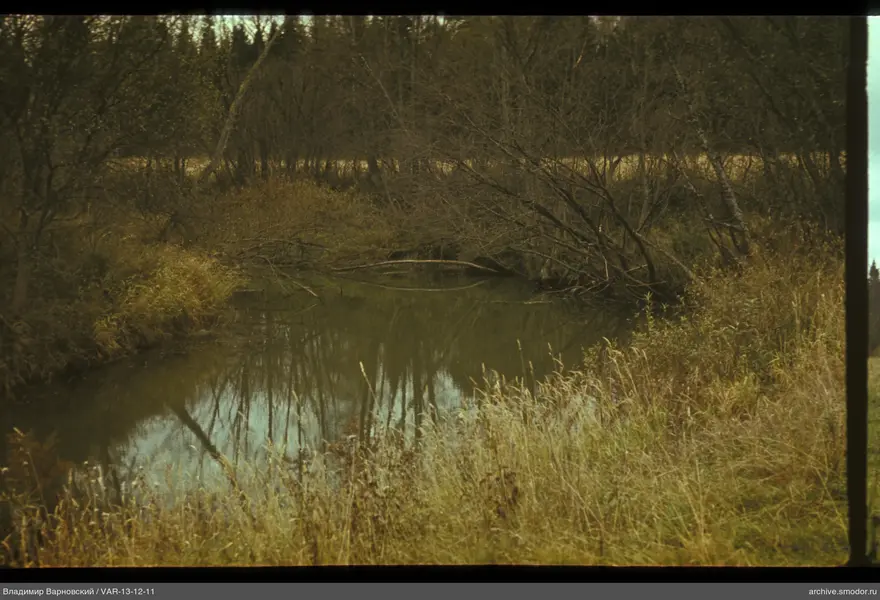 River with tree reflections