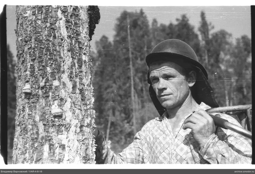 Man with metal object next to a tree