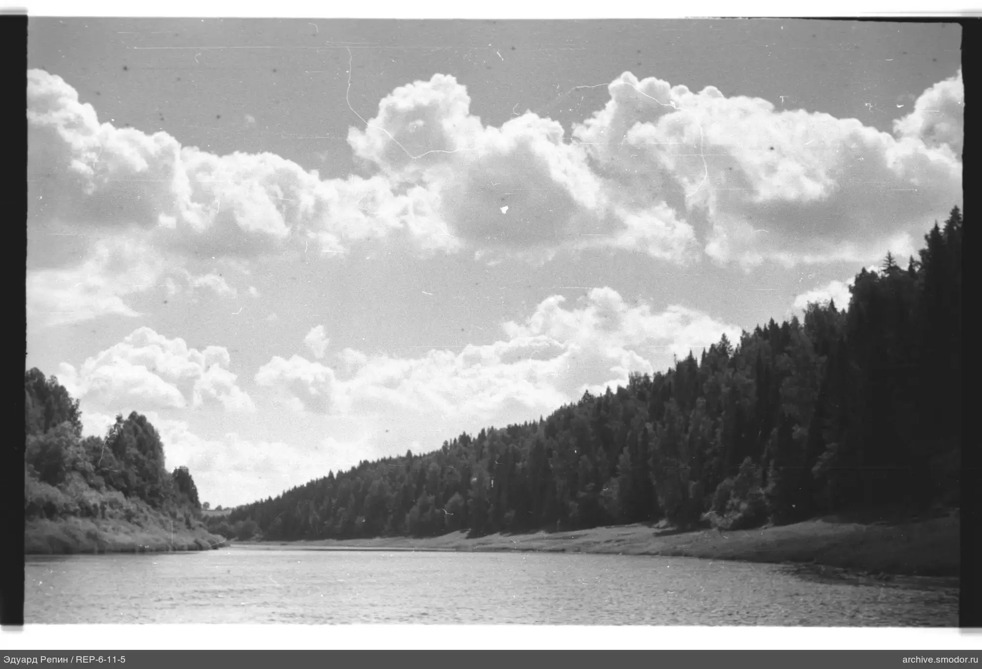 River with forested banks