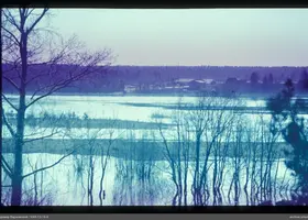 VAR-13-19-5