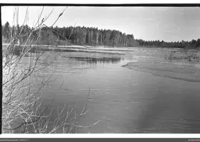 VAR-3-7-1