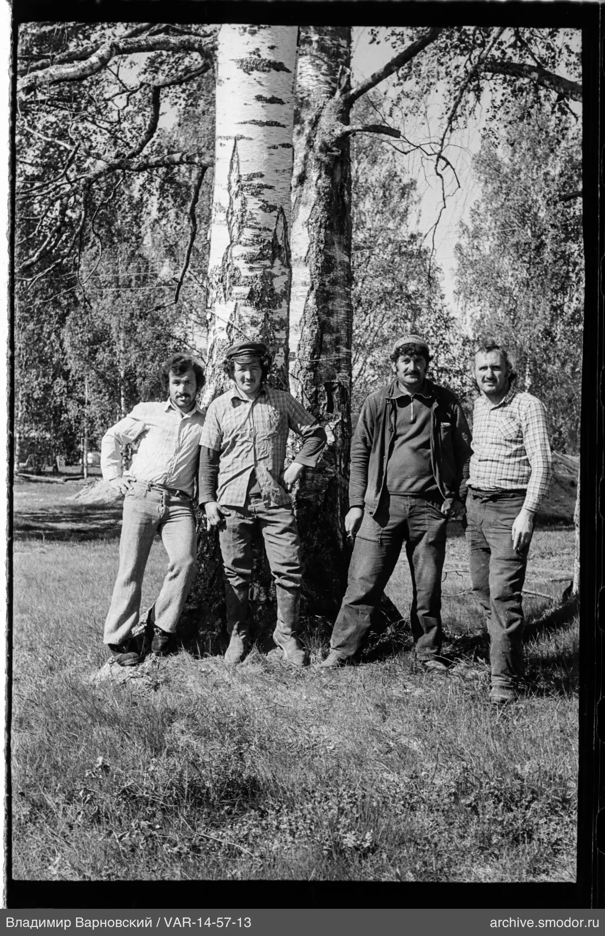 Gruppe von Männern bei Birken