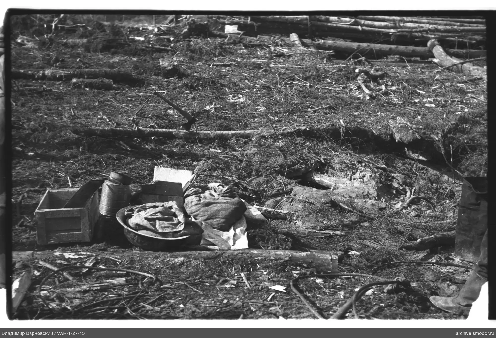 Land plot with fallen trees and foreground objects