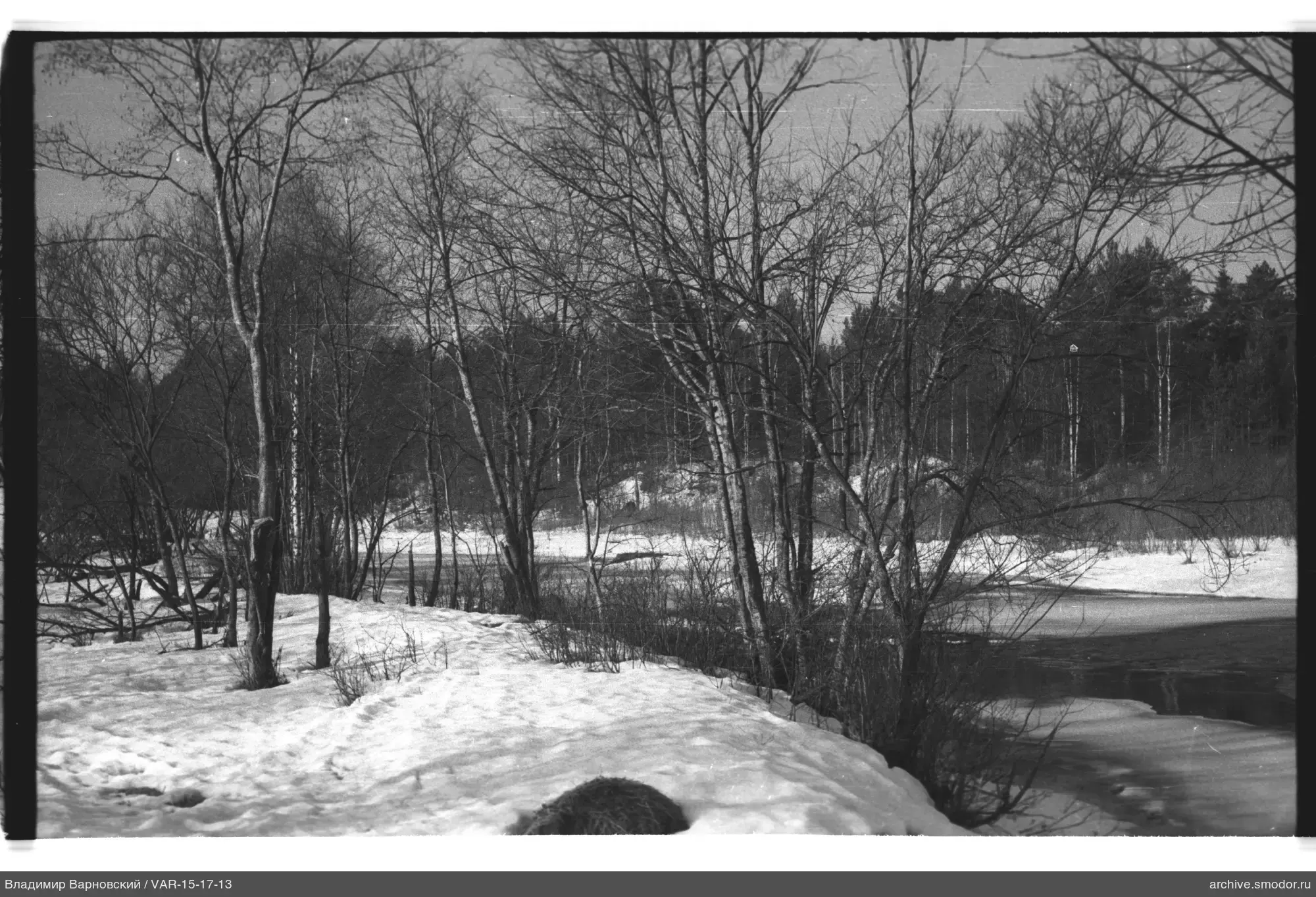 Verschneiter Flussufer und Wald