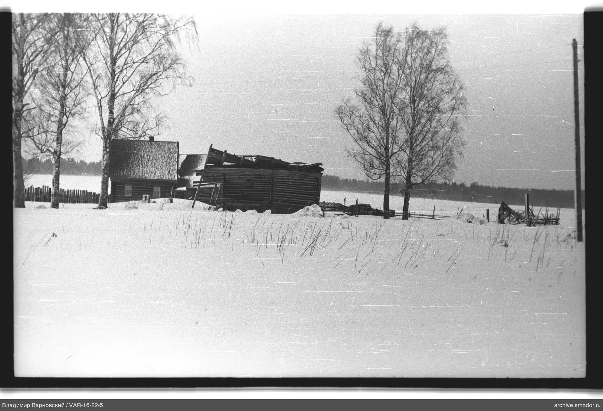 Holzgebäude und Birken im Schnee