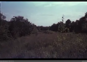 VAR-13-11-3