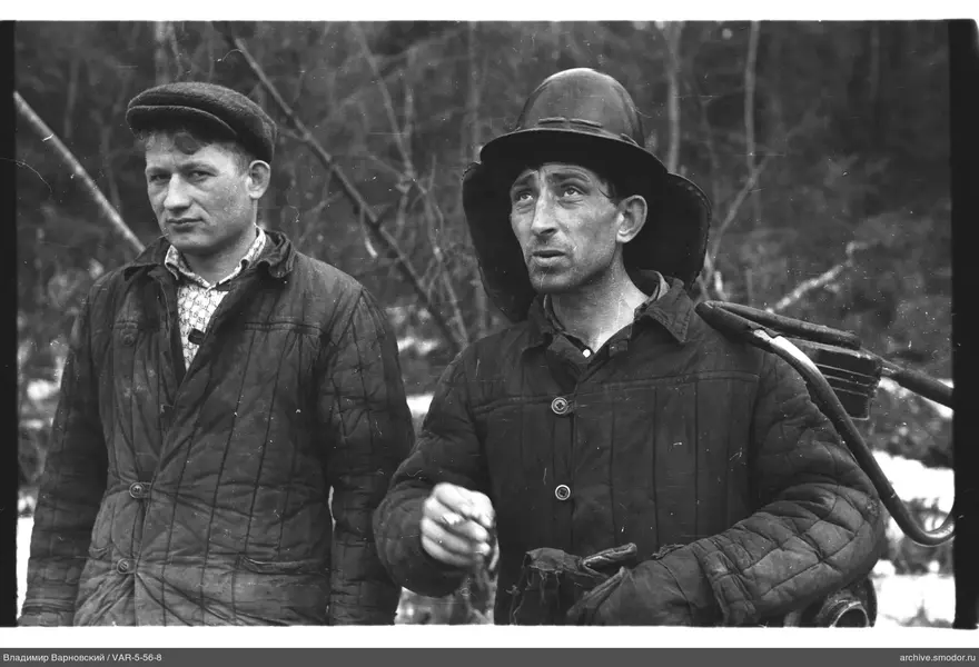 Два мужчины в стеганых куртках у деревьев