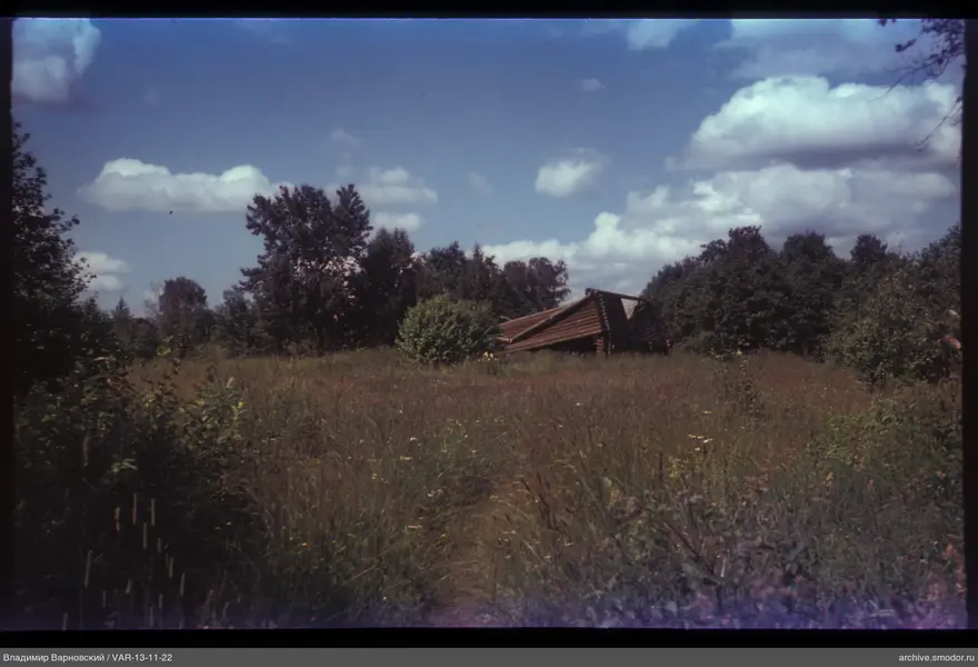 Landscape with wooden structure and nature