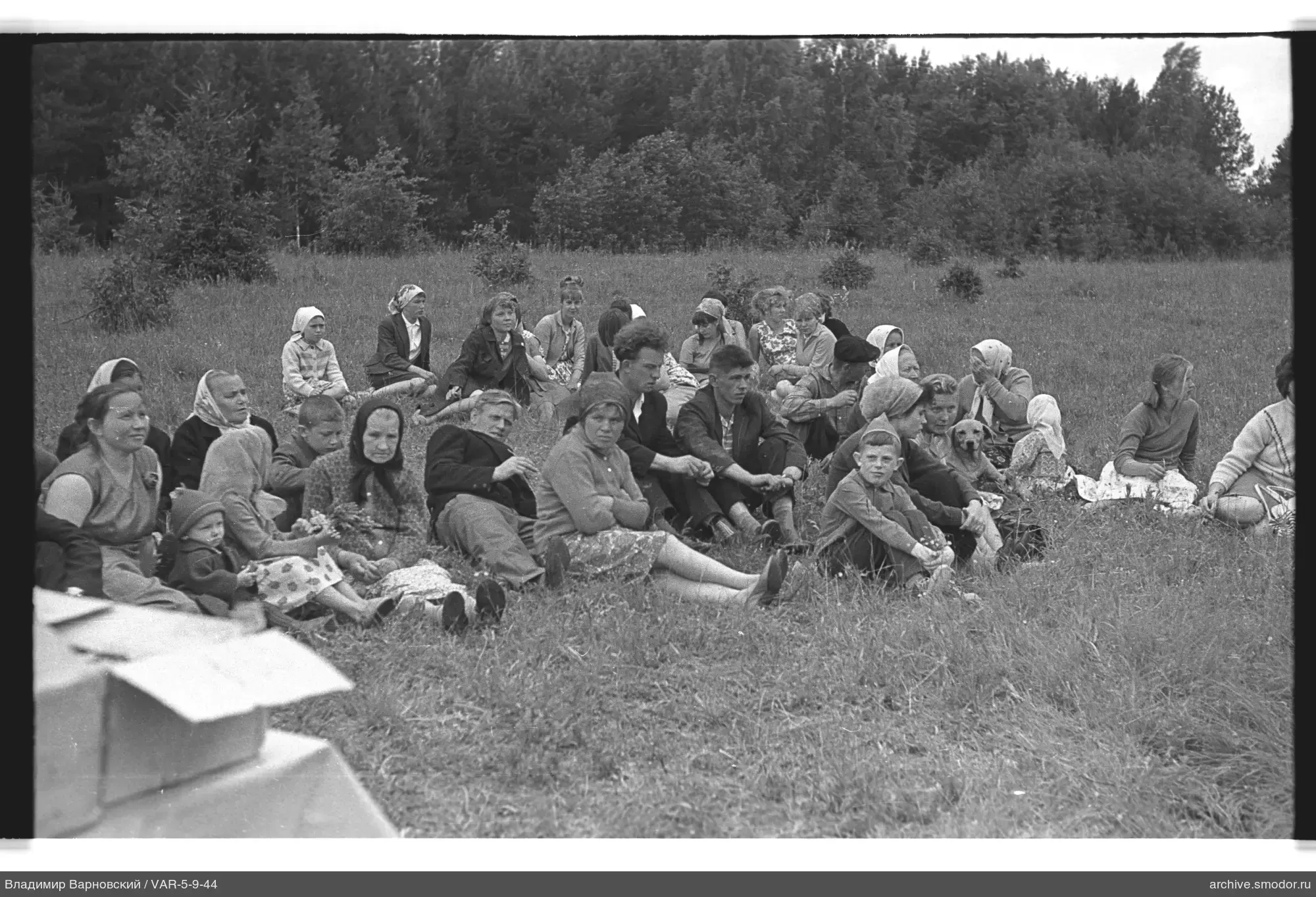 Gruppe von Menschen auf Wiese mit Hund