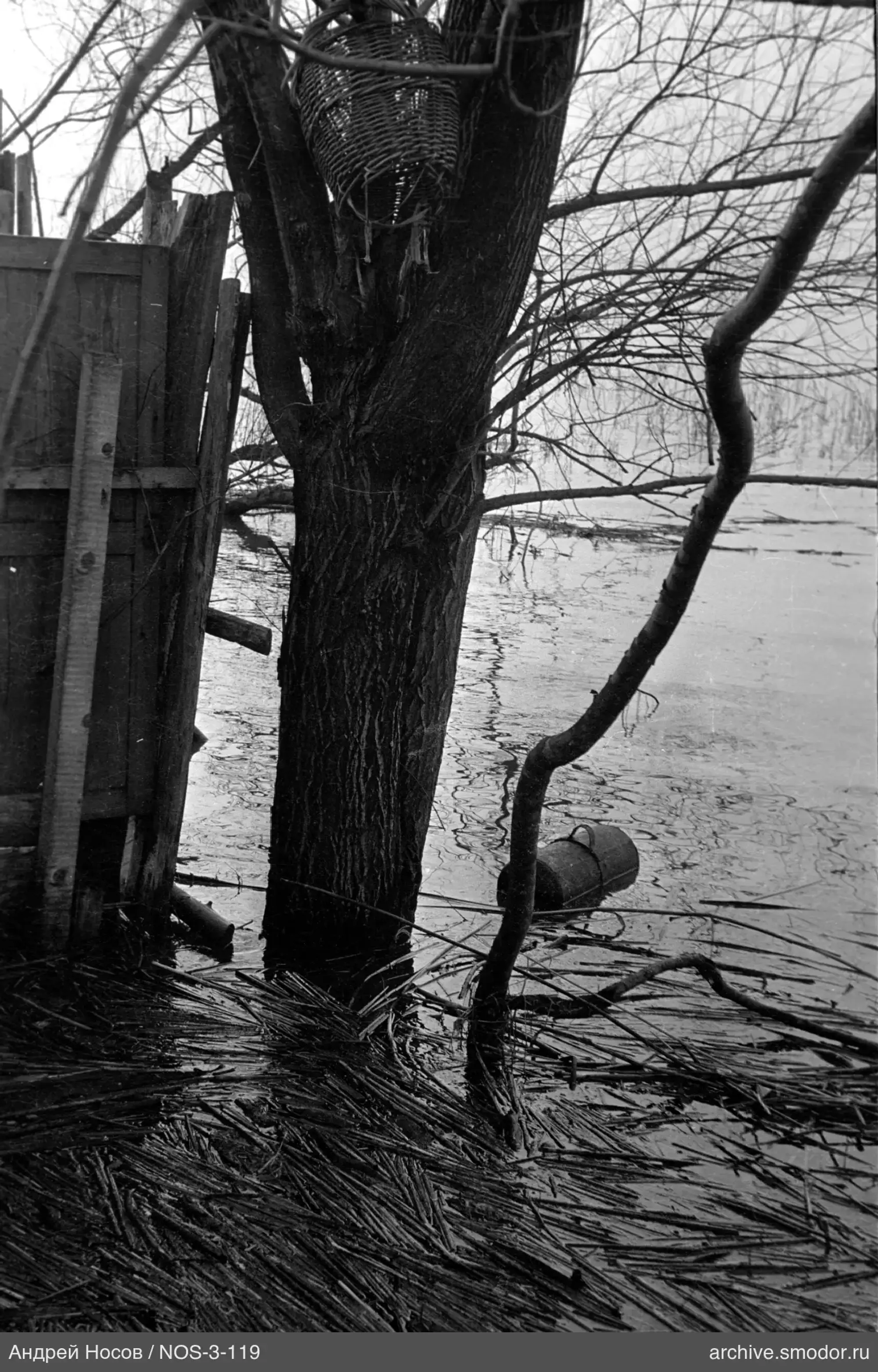 Baum mit Korb am Wasser