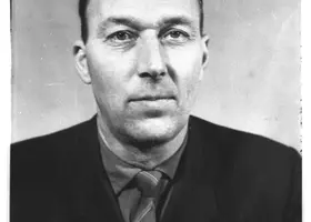 VAR-6-31-8