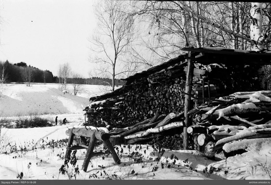 Gesammeltes Holz und Personen im Schnee