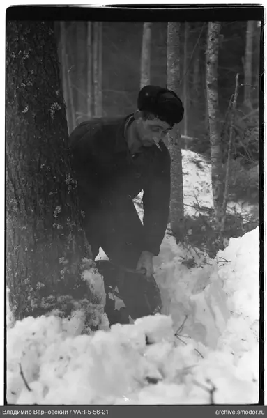 Mann mit Säge am Baum im Schnee