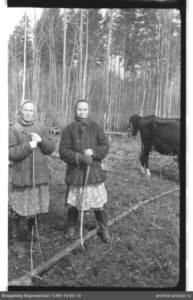 Две женщины с палками на природе