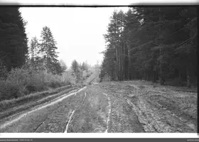 VAR-15-44-14