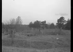 VAR-2-23-6