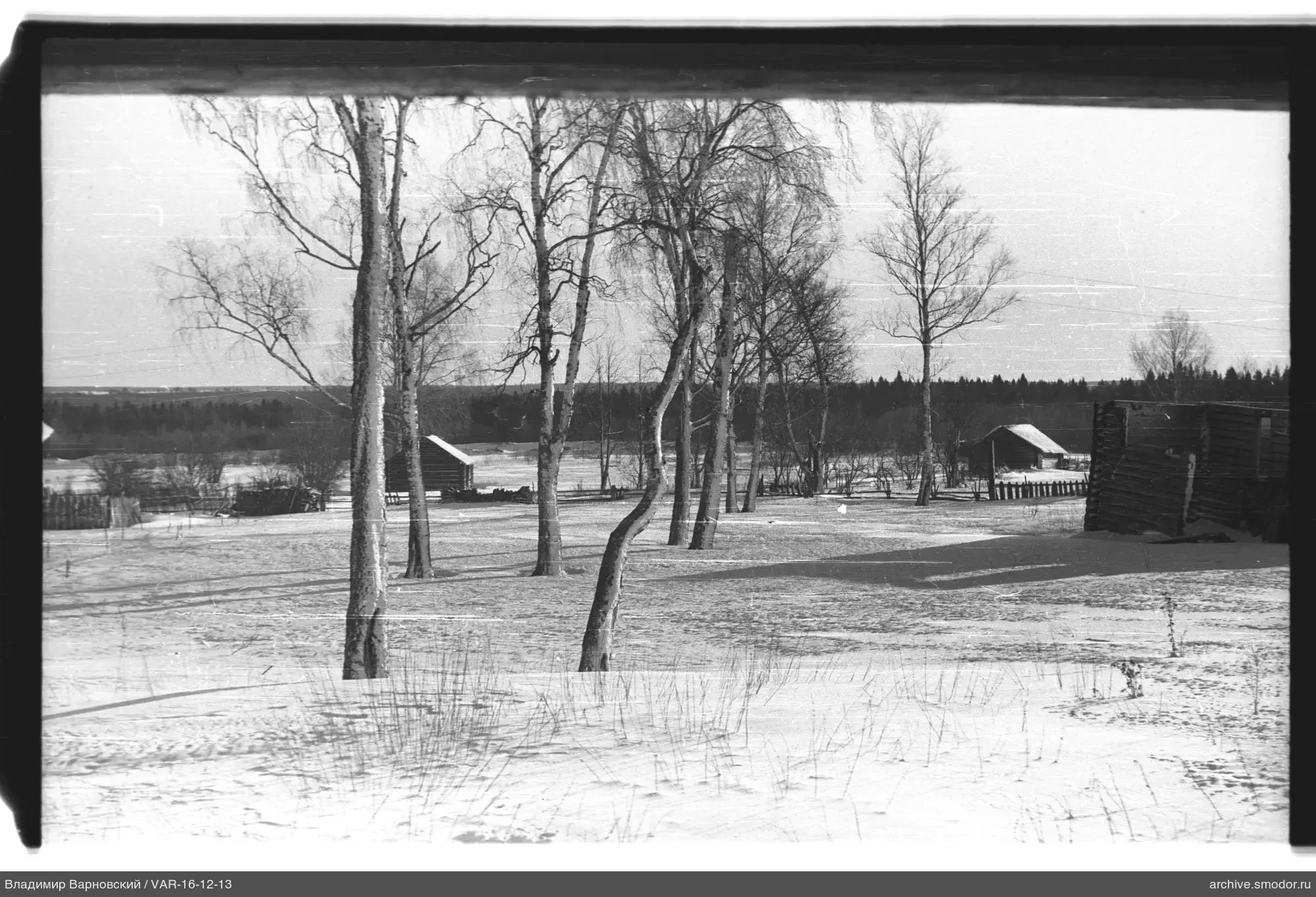 Schneebedecktes Land mit Birken und Gebäuden