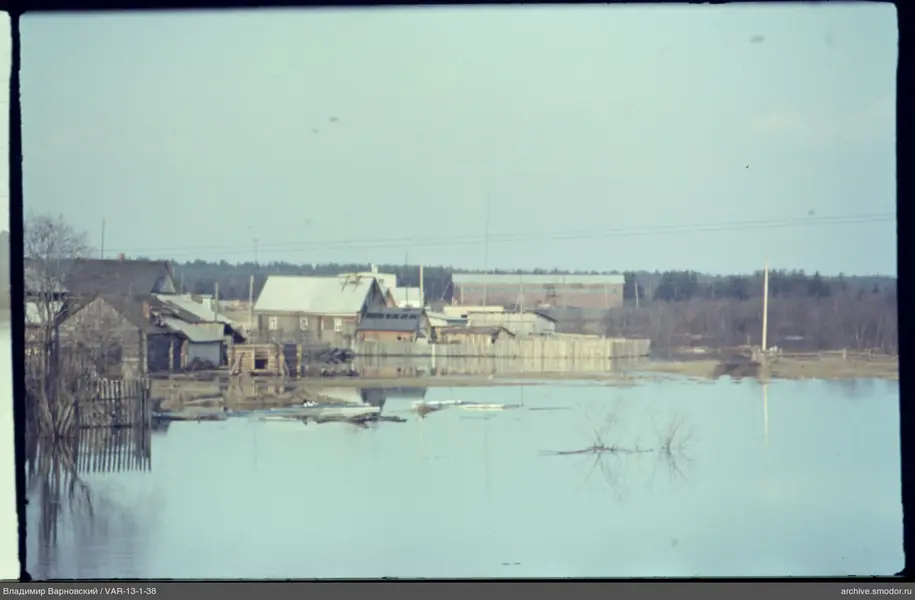 Flooded area with trees and wooden houses