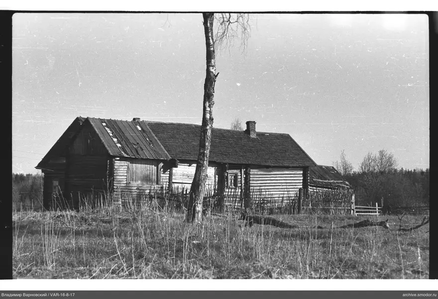 Holzhaus mit zwei Dächern und Birke