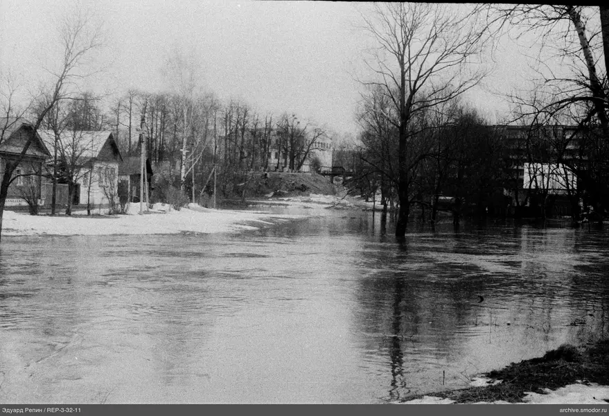 Fluss mit überflutetem Ufer