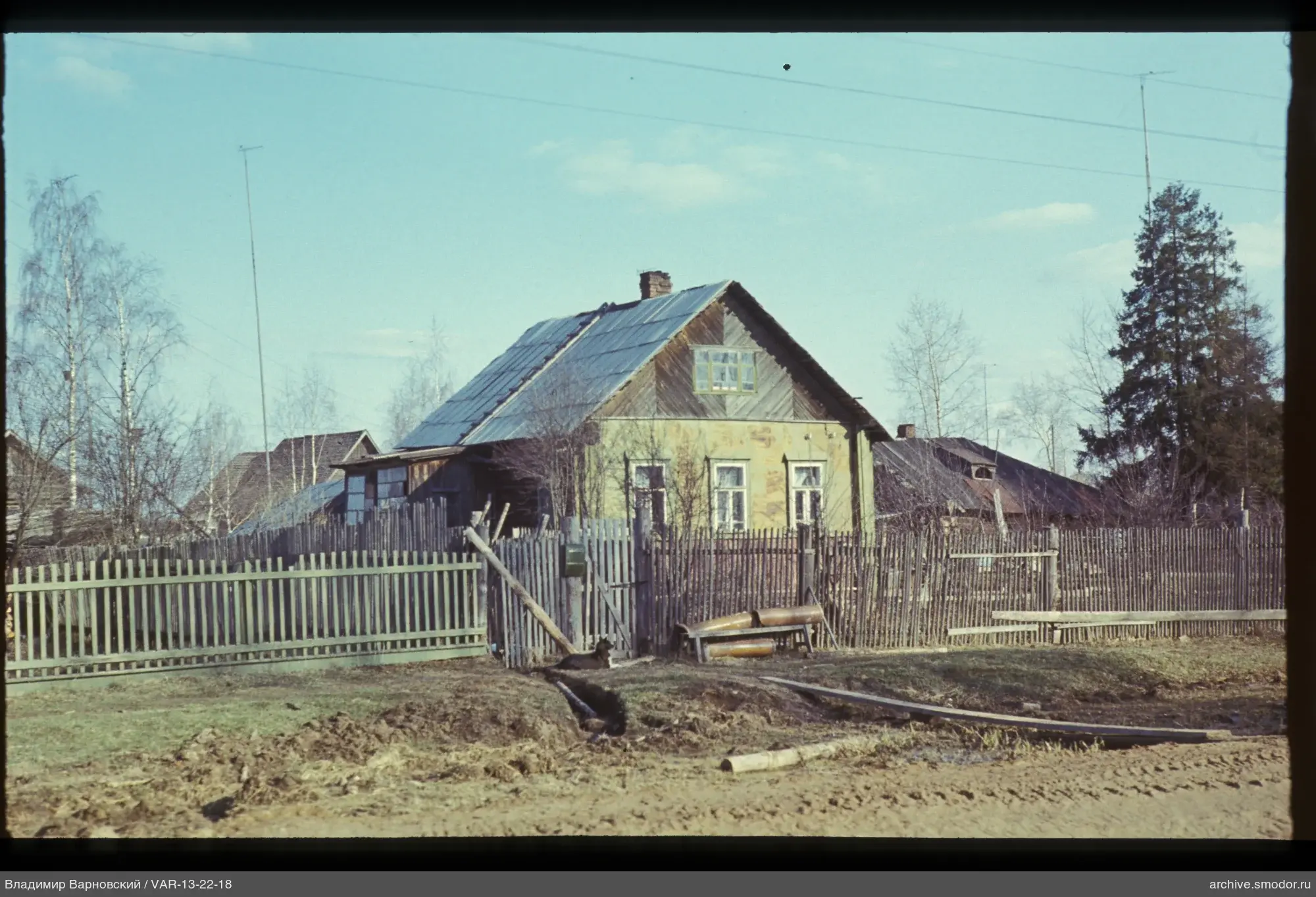 Holzhaus mit Zaun und Hund