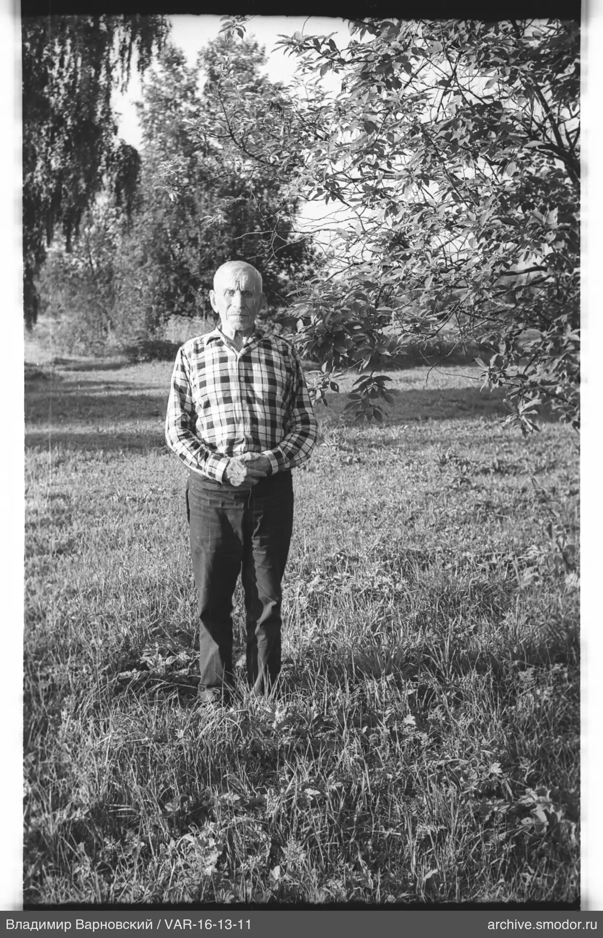 Portrait of an elderly man in nature