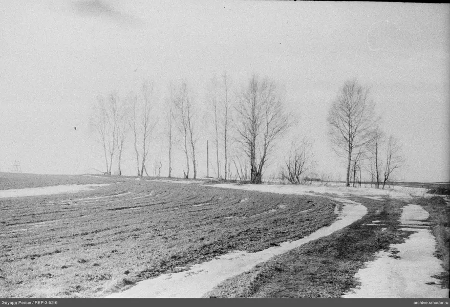 Landschaft mit Weg und Bäumen