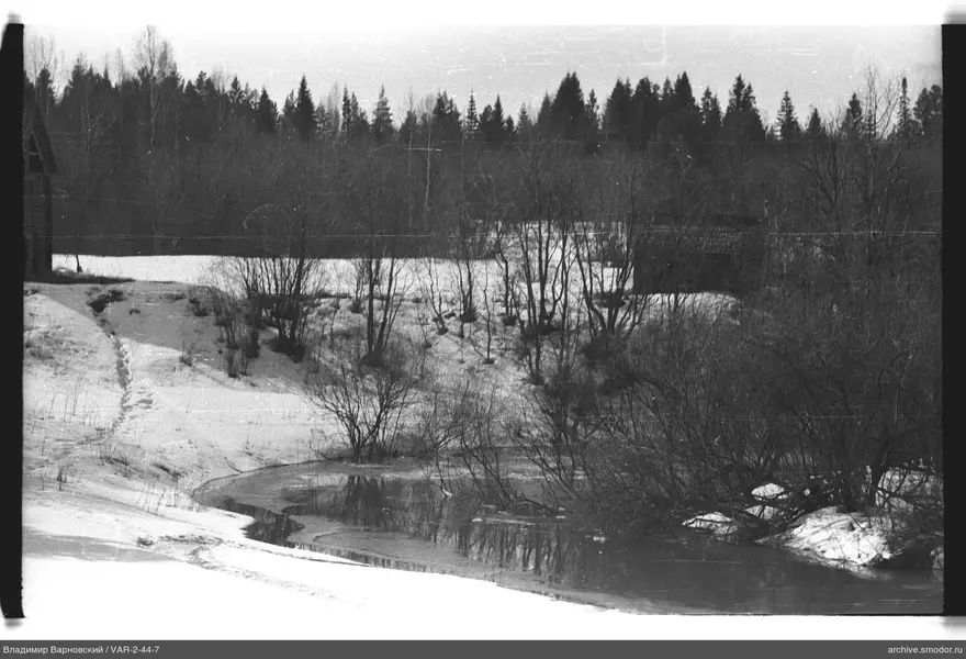 Вид на замерзший водоём и лес