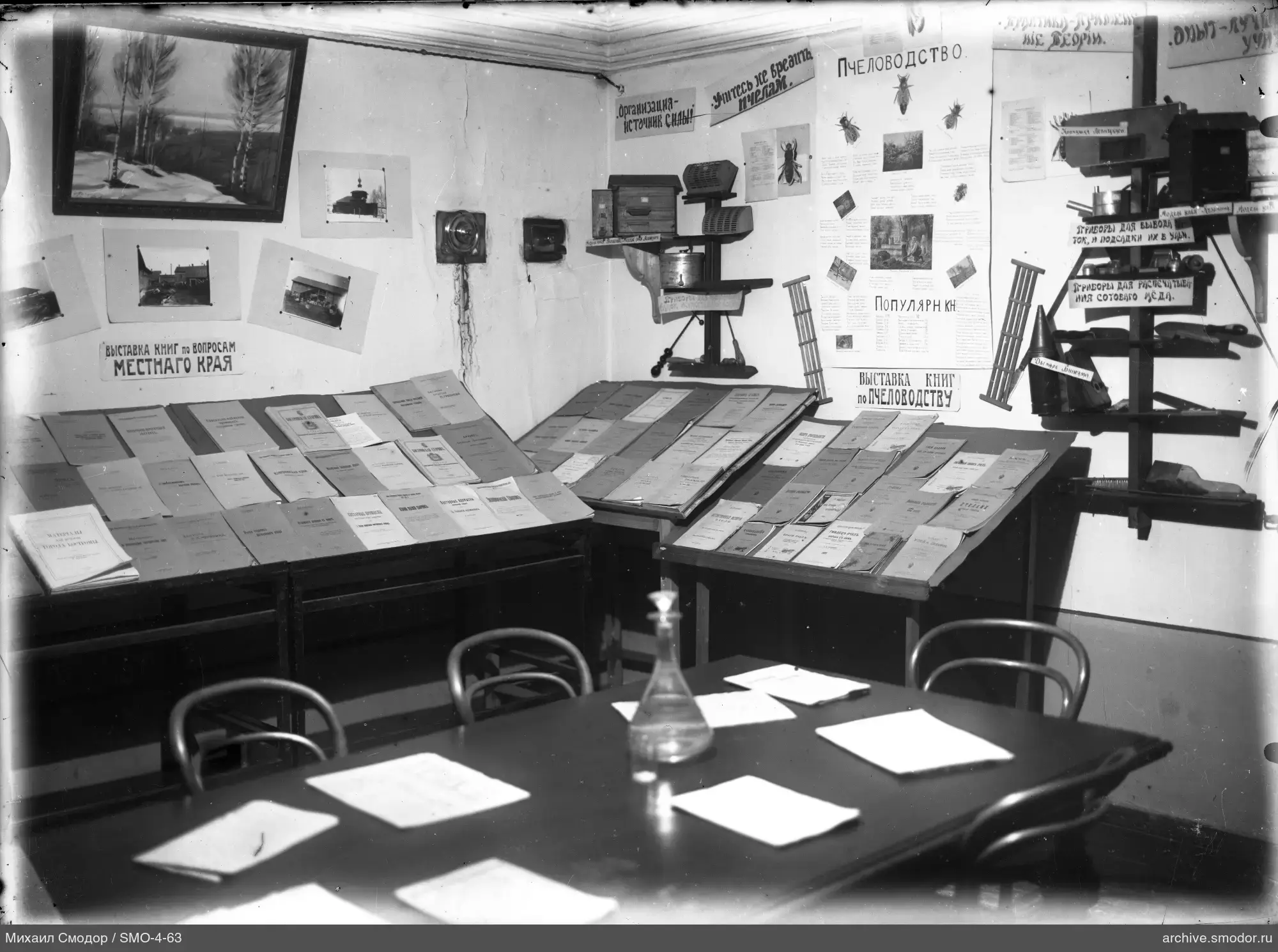 Exhibition of books and posters on bees