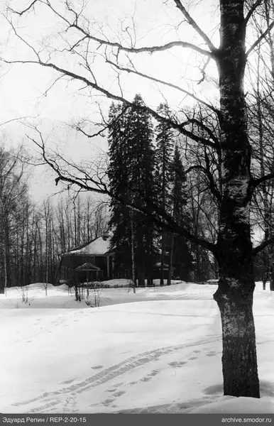 Großer Baum und Holzhaus