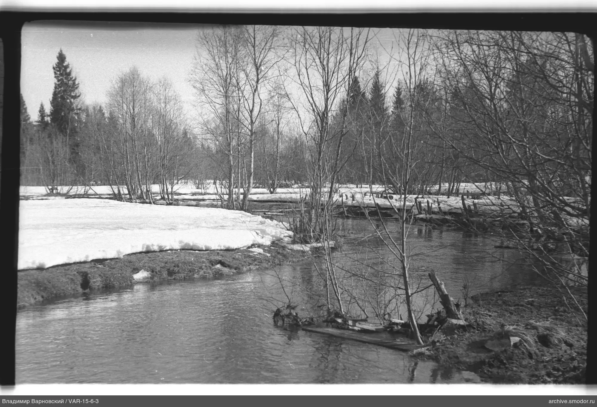 Fluss mit Ufern und Wald im Hintergrund