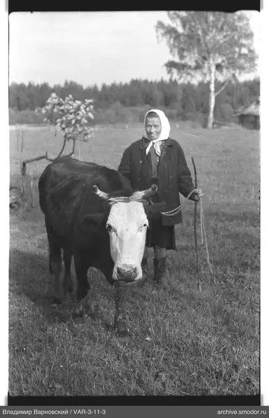 Frau mit Kuh auf Wiese