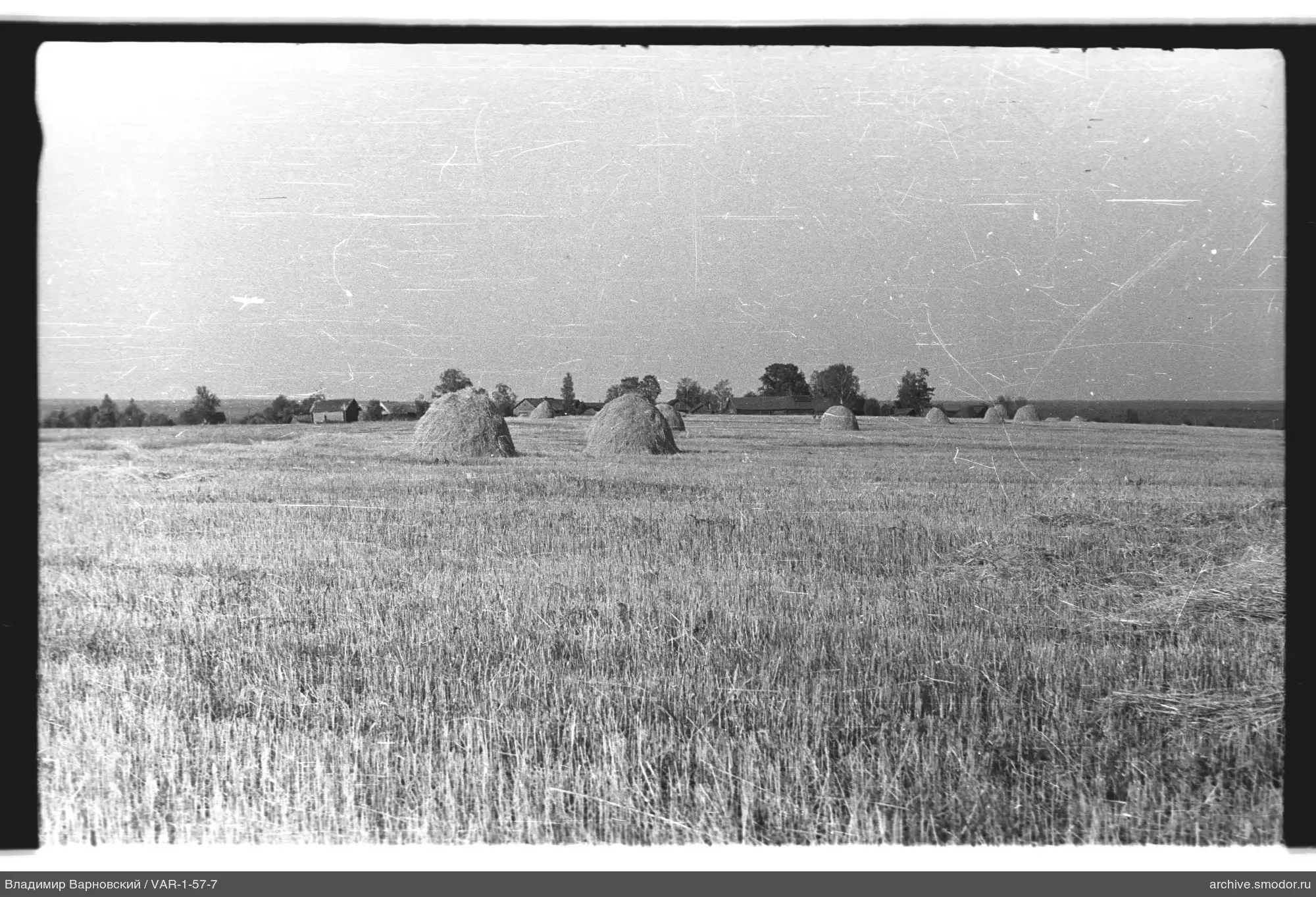 Feld mit Heuhaufen und Bäumen