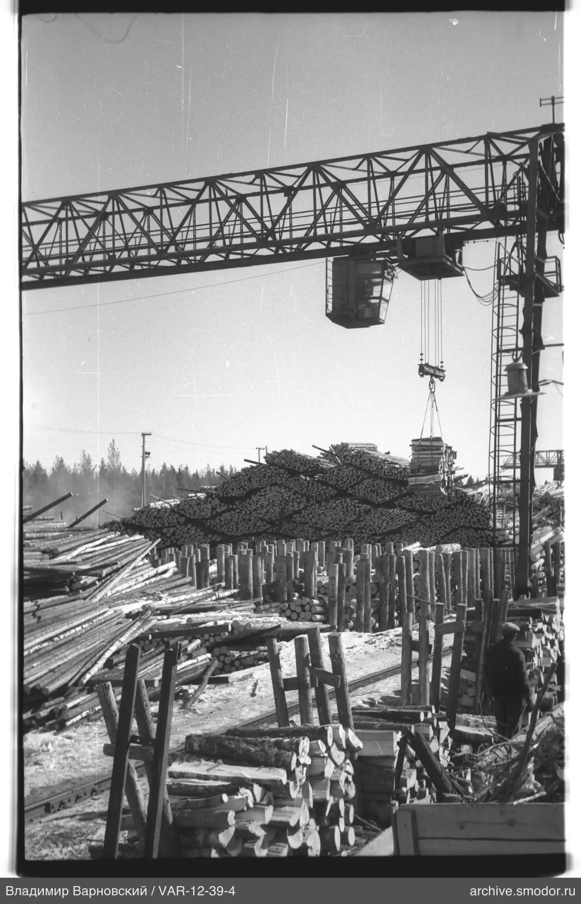 Industriestandort mit Holzstämmen und Kran